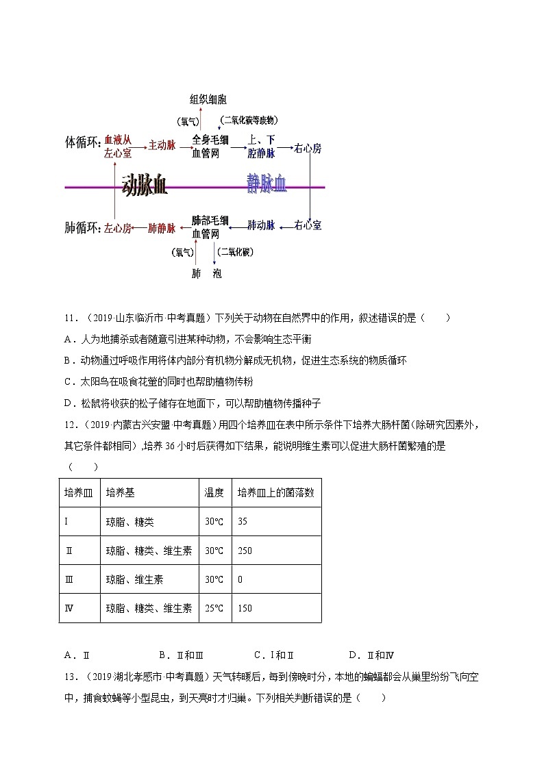 初中生物中考复习 重组卷05-冲刺2021年中考生物精选真题重组卷(人教版)(原卷版)第3页