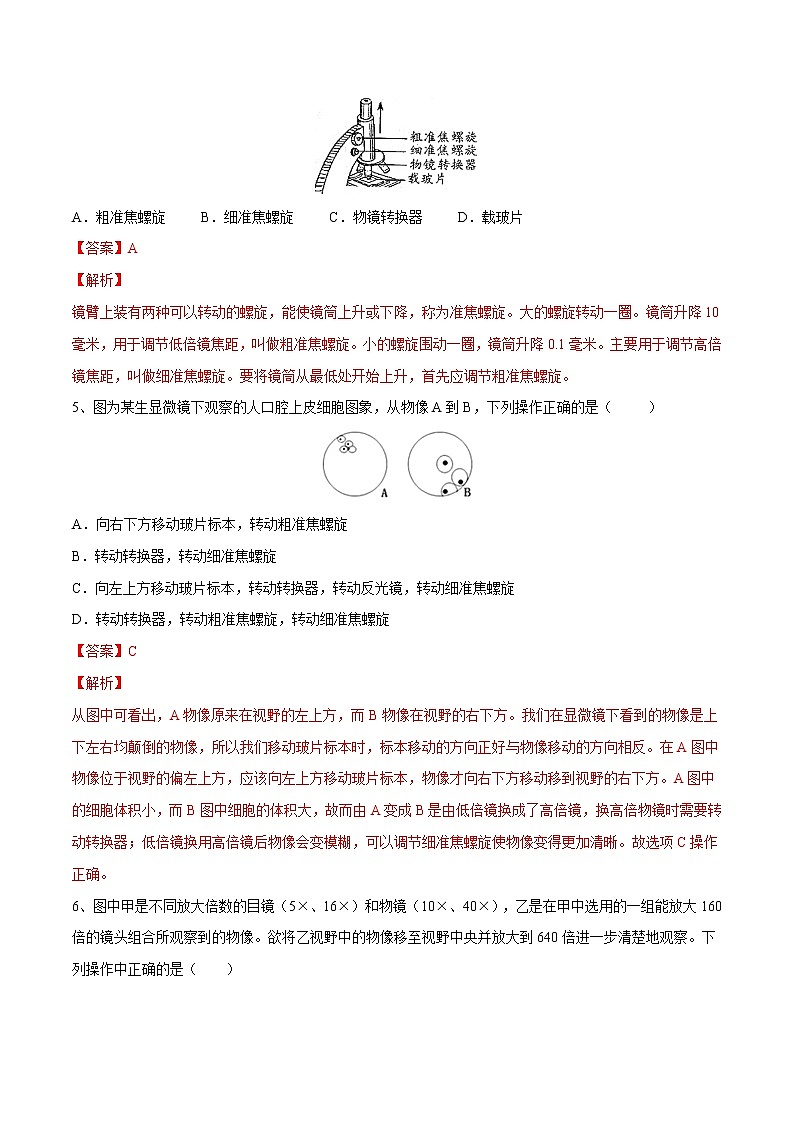 初中生物中考复习 专题02 细胞是生命活动的基本单位(习题)-【过一轮】2022年中考生物一轮复习课件精讲与习题精练(解析版)02