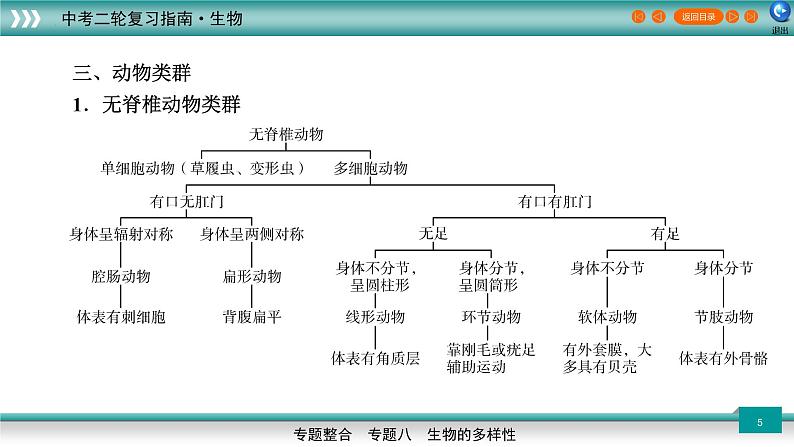 初中生物中考复习 专题08生物的多样性(上课用课件)-【过专题】2022年中考生物二轮精准高效复习第5页