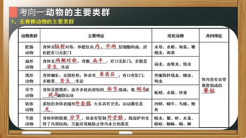 初中生物中考复习 专题10 生物圈中的其他生物- 【备考无忧】2022年中考生物复习核心考点复习精优课件第5页