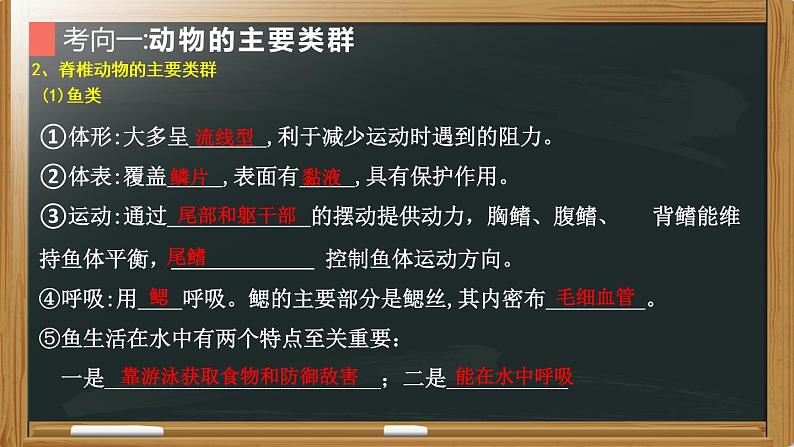 初中生物中考复习 专题10 生物圈中的其他生物- 【备考无忧】2022年中考生物复习核心考点复习精优课件第6页