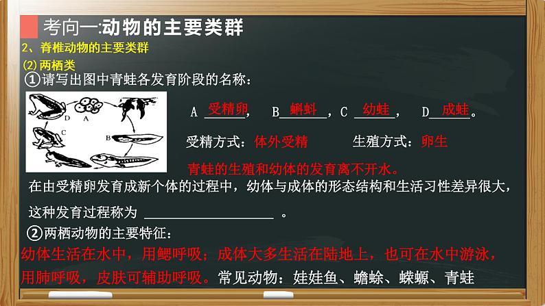 初中生物中考复习 专题10 生物圈中的其他生物- 【备考无忧】2022年中考生物复习核心考点复习精优课件第7页