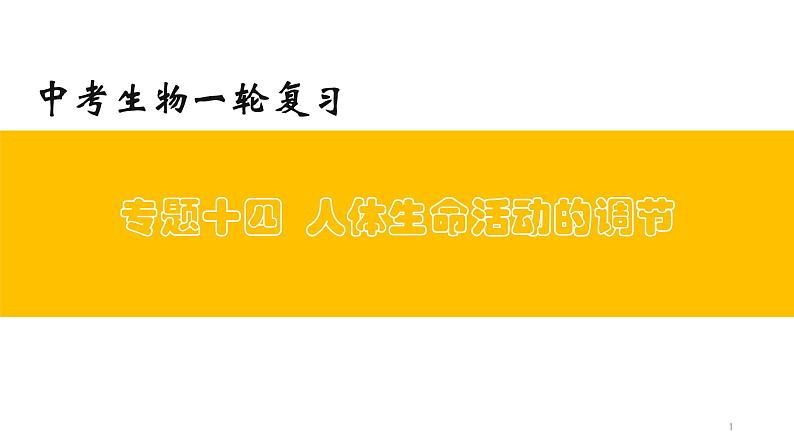 初中生物中考复习 专题14 人体生命活动的调节(上课用课件)-【过一轮】2022年中考生物一轮复习课件精讲与习题精练第1页