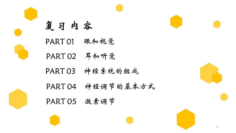 初中生物中考复习 专题14 人体生命活动的调节(上课用课件)-【过一轮】2022年中考生物一轮复习课件精讲与习题精练第2页