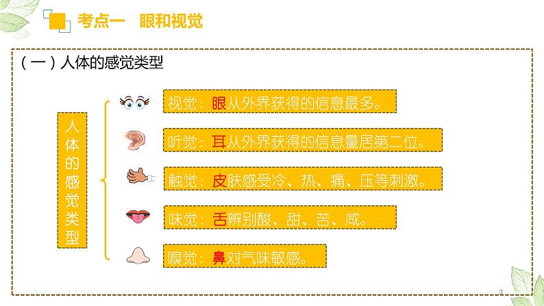 初中生物中考复习 专题14 人体生命活动的调节(上课用课件)-【过一轮】2022年中考生物一轮复习课件精讲与习题精练第3页
