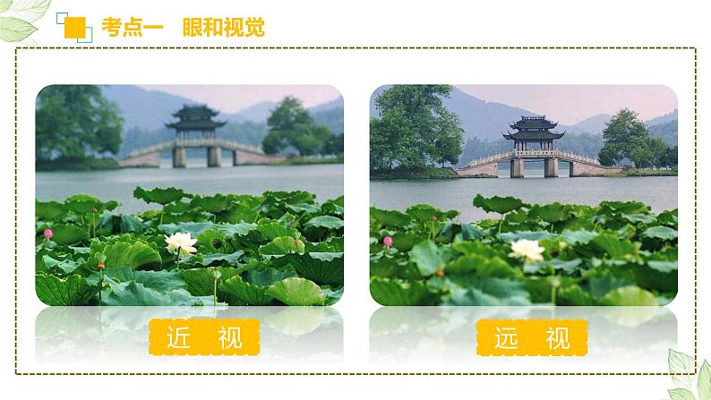 初中生物中考复习 专题14 人体生命活动的调节(上课用课件)-【过一轮】2022年中考生物一轮复习课件精讲与习题精练第7页