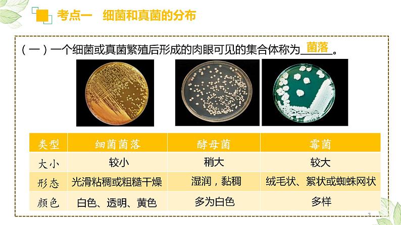 初中生物中考复习 专题17 细菌、真菌和病毒(上课用课件)-【过一轮】2022年中考生物一轮复习课件精讲与习题精练第3页