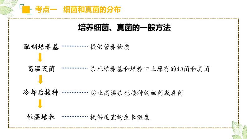 初中生物中考复习 专题17 细菌、真菌和病毒(上课用课件)-【过一轮】2022年中考生物一轮复习课件精讲与习题精练第5页