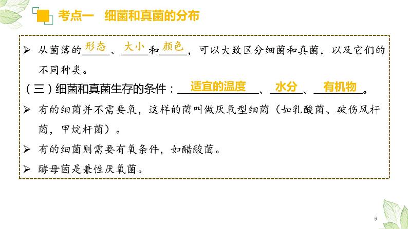 初中生物中考复习 专题17 细菌、真菌和病毒(上课用课件)-【过一轮】2022年中考生物一轮复习课件精讲与习题精练第6页