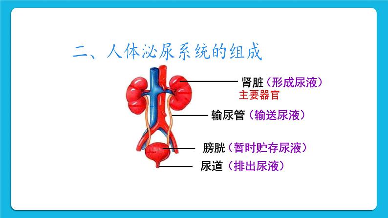 第五章 人体内废物的排出 第二节 人粪尿的处理 课件+教案07