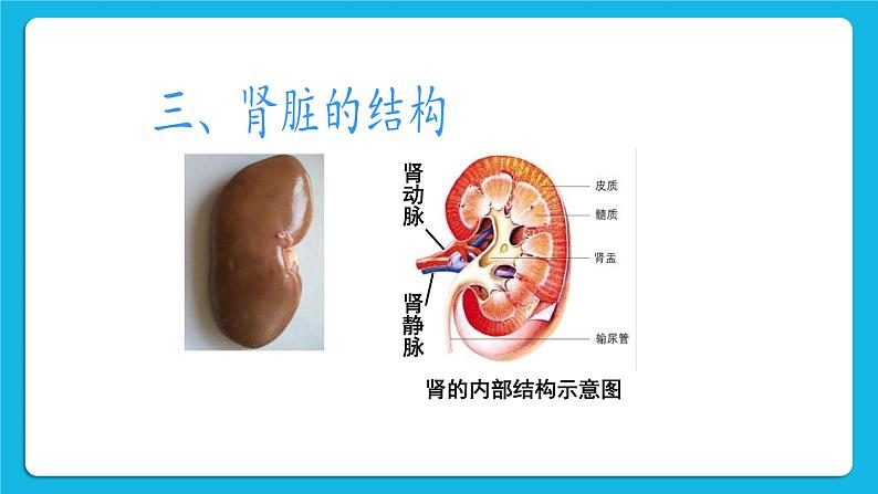 第五章 人体内废物的排出 第二节 人粪尿的处理 课件+教案08