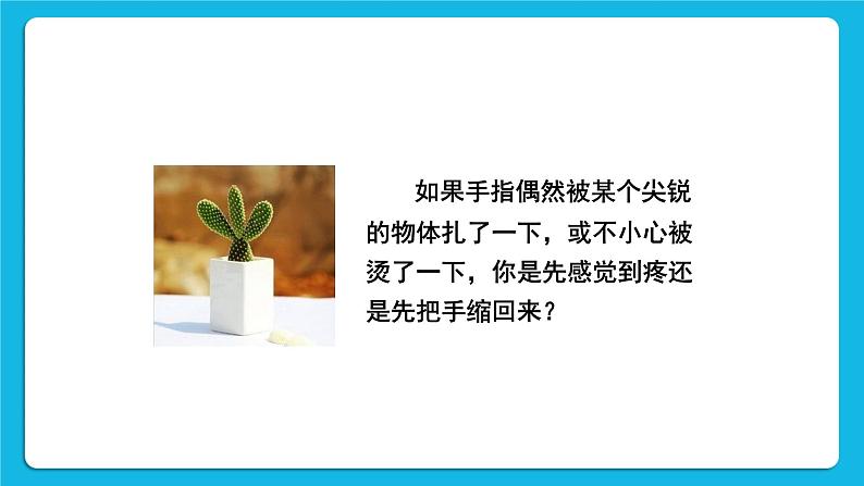 第1课时 反射和反射弧 课件第3页