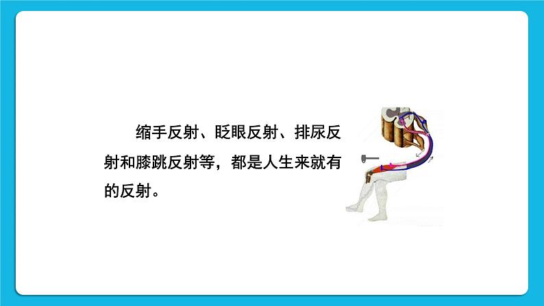 第2课时 简单反射和复杂反射 课件第4页
