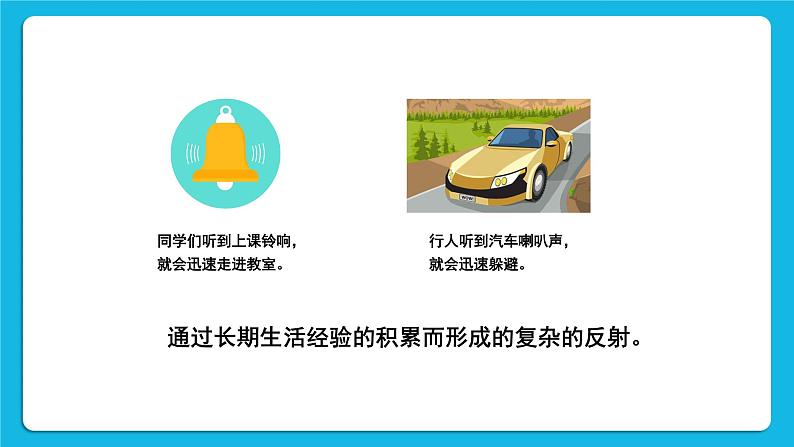第2课时 简单反射和复杂反射 课件第6页