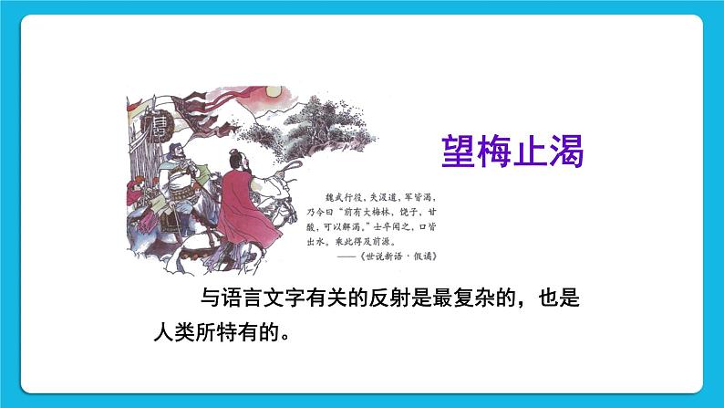 第2课时 简单反射和复杂反射 课件第7页