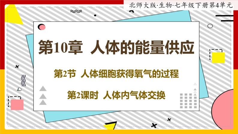 10.2.2《人体细胞获得氧气的过程》课件PPT+教案+同步练习01