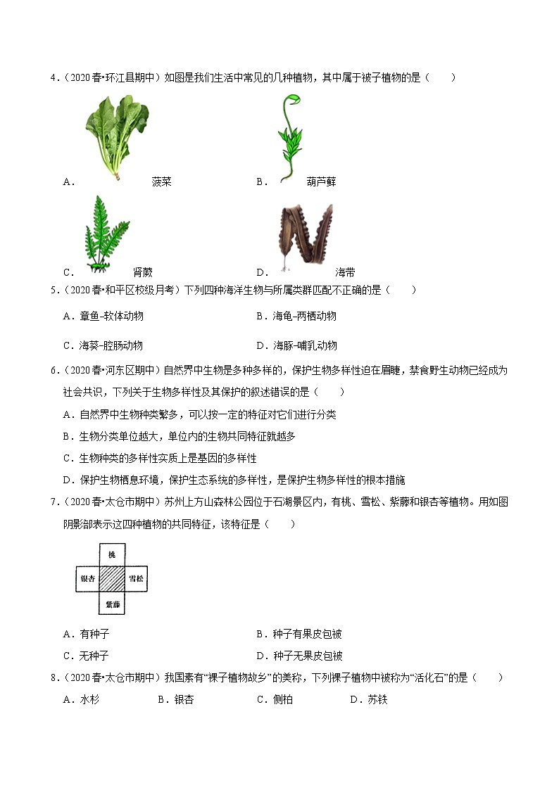 初中生物中考复习 专题18 生物的多样性及其保护(原卷版)03