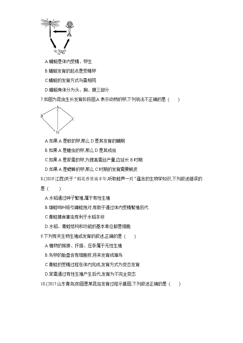 初中生物中考复习 专题19 生物的生殖和发育(练习)(原卷版)第2页