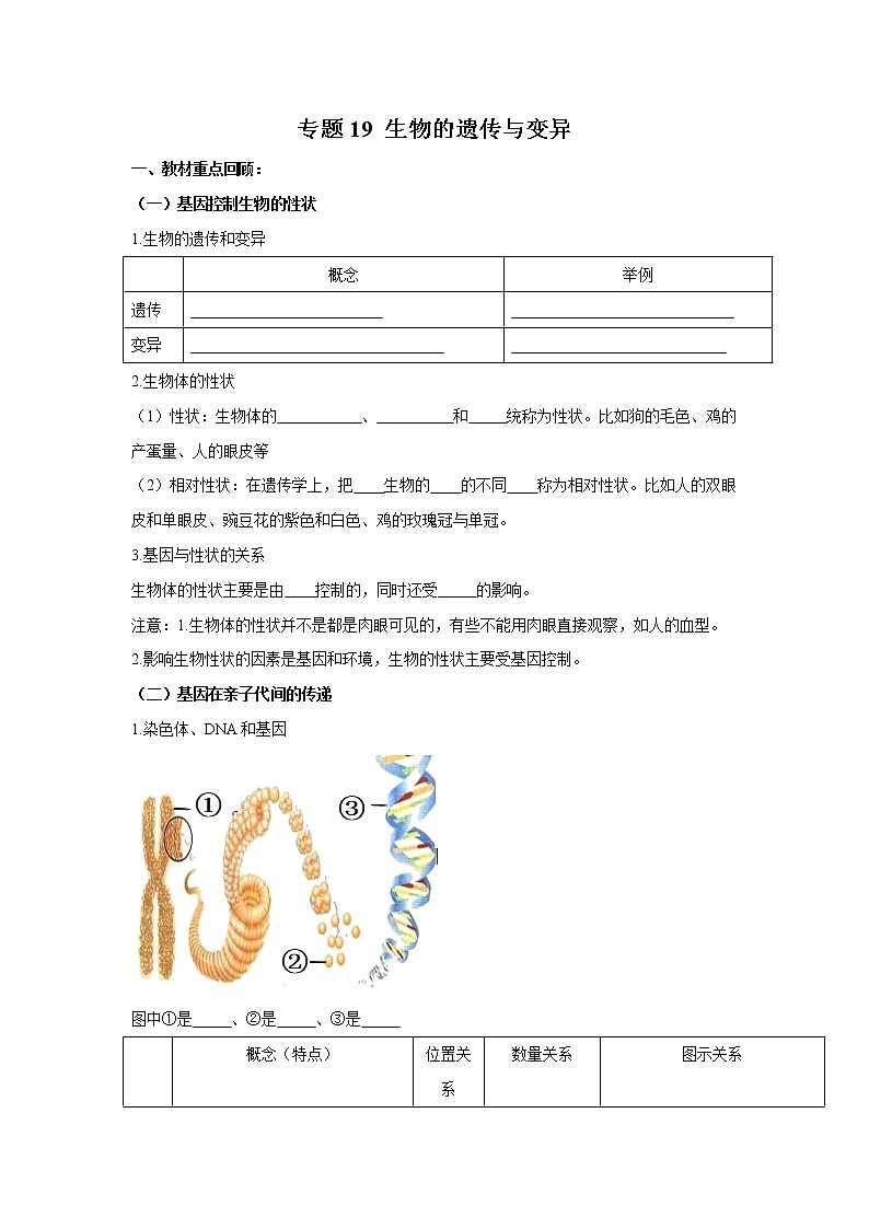初中生物中考复习 专题19 生物的遗传与变异(原卷版)第1页