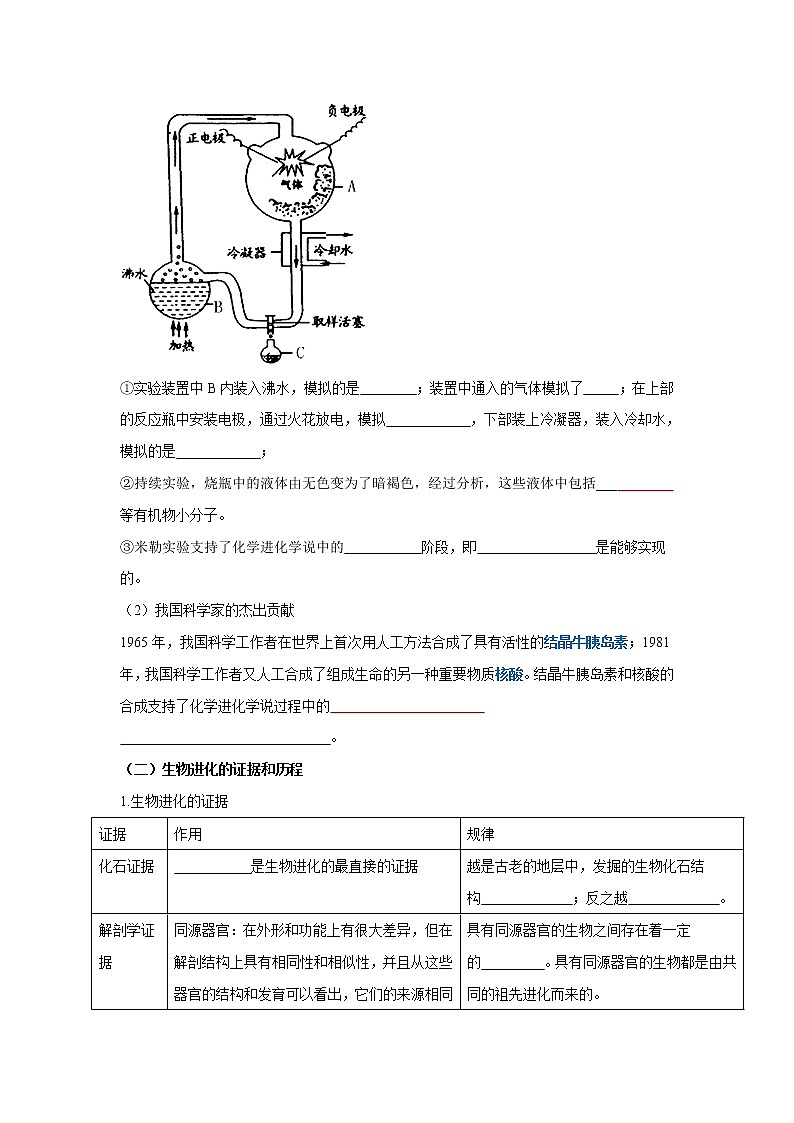 初中生物中考复习 专题20 生命的起源和进化(原卷版)第2页
