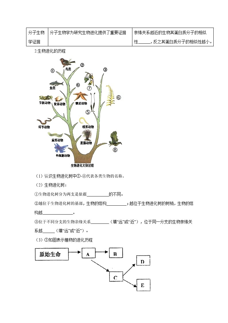 初中生物中考复习 专题20 生命的起源和进化(原卷版)第3页