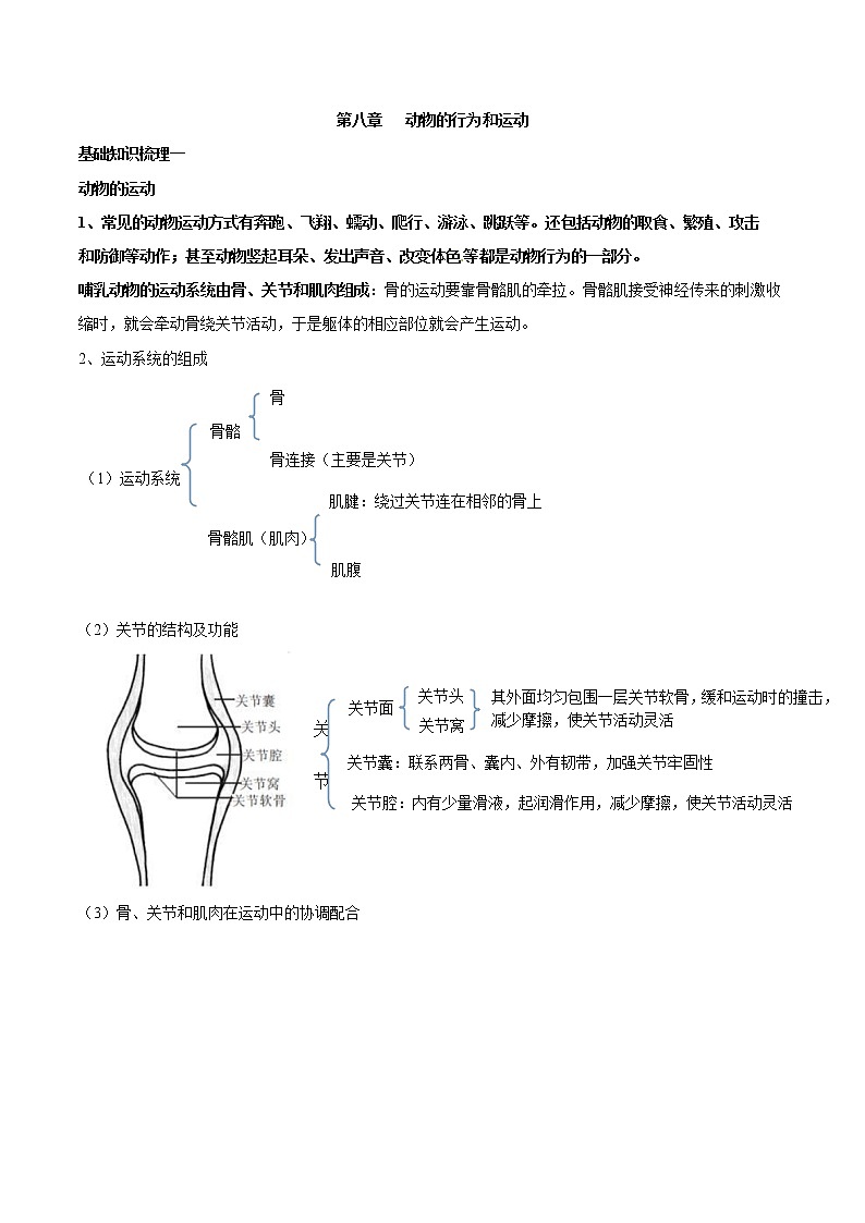 初中生物中考复习 专题八 动物的行为和运动-2021年中考生物核心考点必背合集01