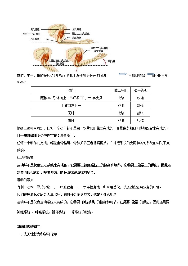 初中生物中考复习 专题八 动物的行为和运动-2021年中考生物核心考点必背合集02
