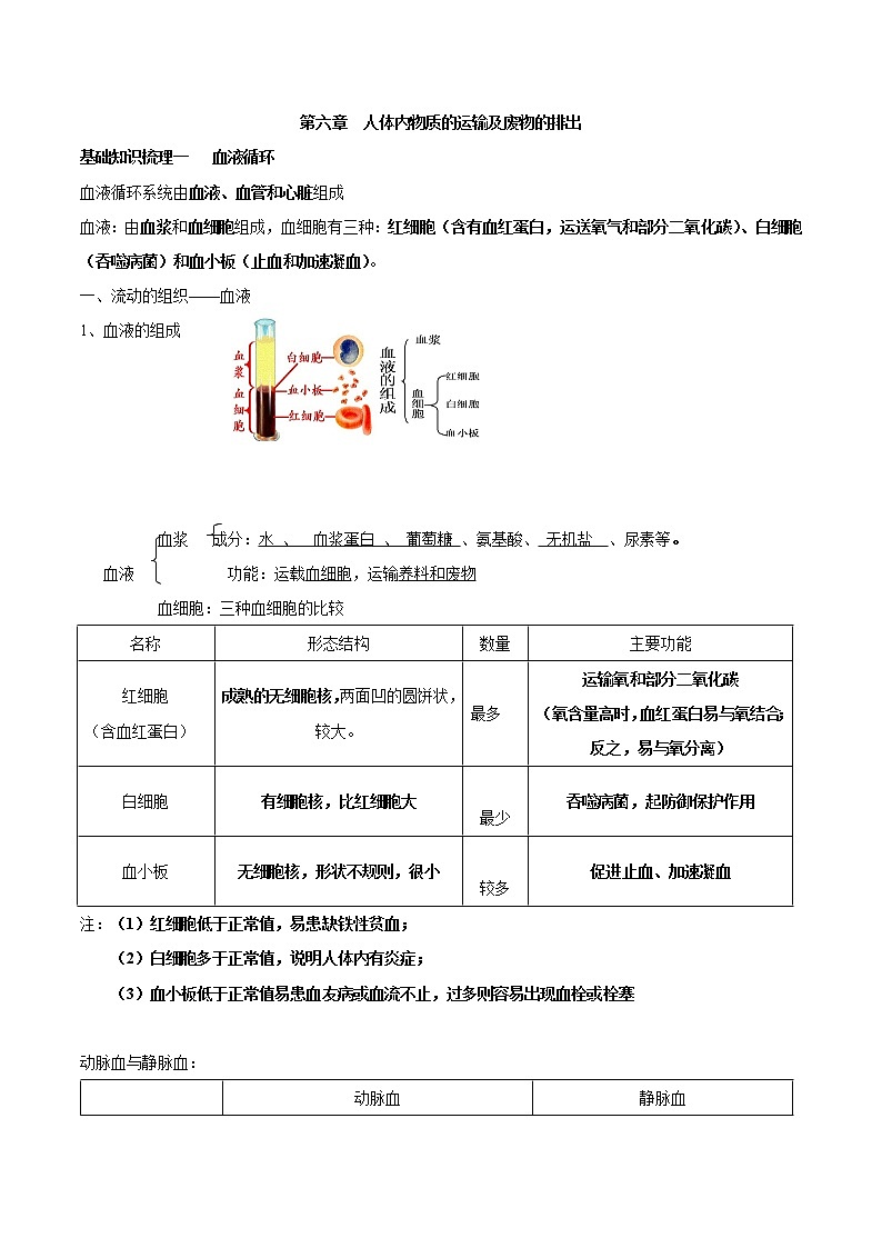 初中生物中考复习 专题六 人体内物质的运输及废物的排出-2021年中考生物核心考点必背合集第1页