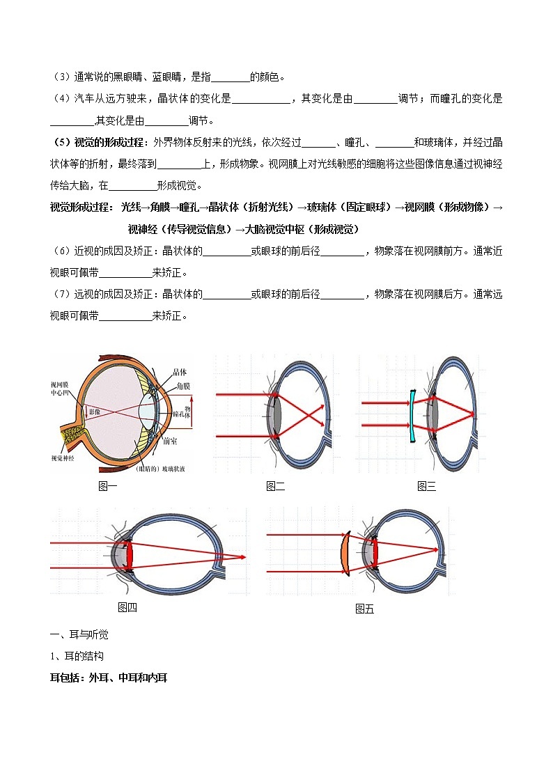 初中生物中考复习 专题七 人体生命活动的调节-2021年中考生物核心考点必背合集02