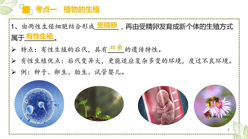 初中生物中考复习 专题19 生物的生殖和发育(上课用课件)-【过一轮】2022年中考生物一轮复习课件精讲与习题精练第3页