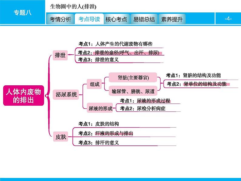 初中生物中考复习 专题八 生物圈中的人(排泄) 课件 2021届中考生物一轮复习04