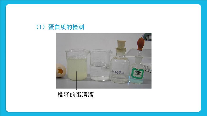 第1節(jié) 人類(lèi)的食物 課件第7頁(yè)