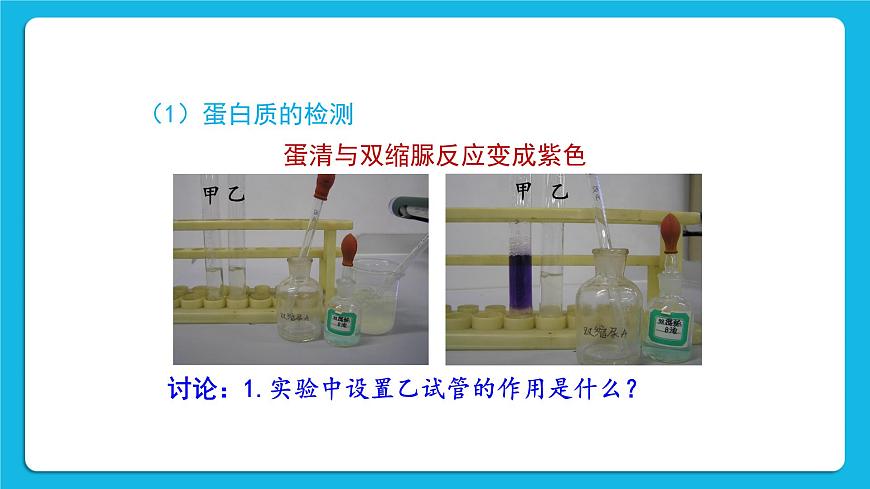 第1節(jié) 人類(lèi)的食物 課件第8頁(yè)