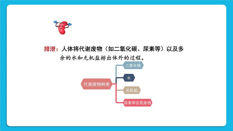 第11章 人体代谢废物的排出 第1节 人体产生的代谢废物 课件+教案07