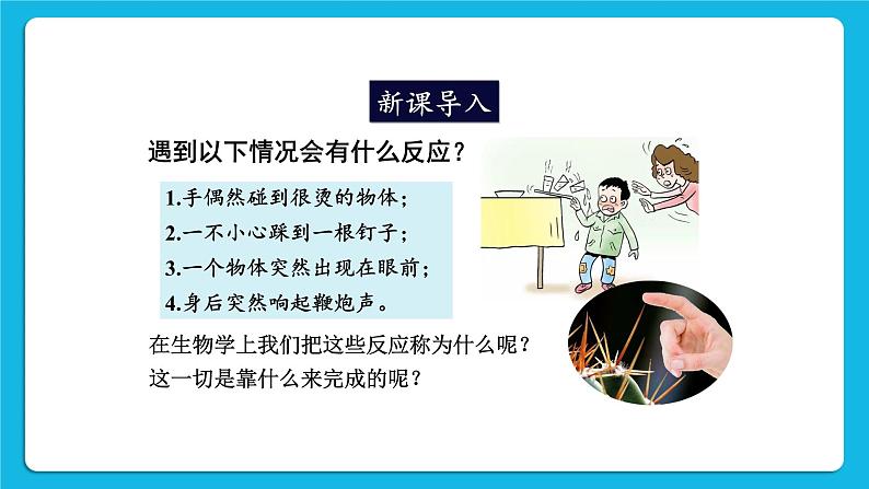 第2课时 神经调节 课件第2页