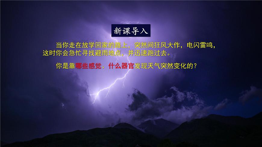 第1課時 眼與視覺 課件第2頁