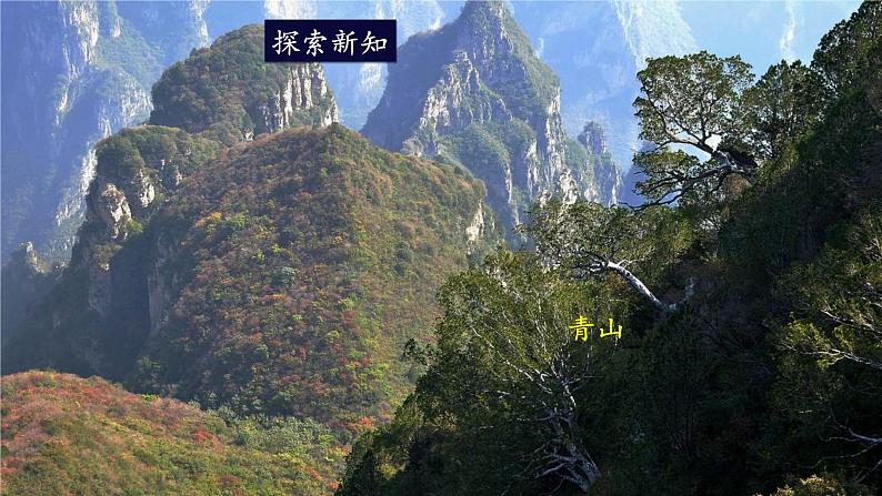第14章 人在生物圈中的义务 第1节 人在生物圈中的义务 课件+教案04