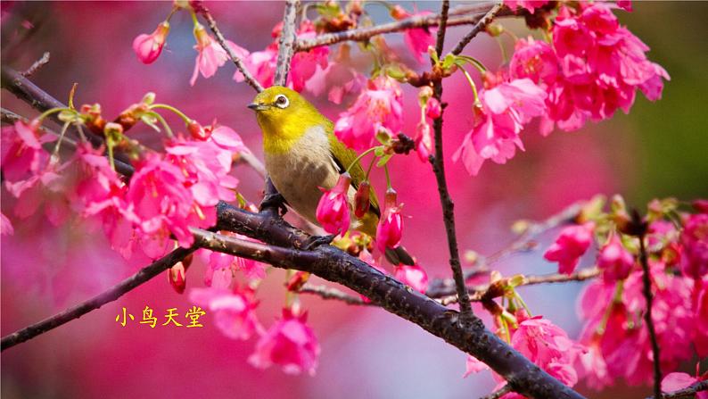 第14章 人在生物圈中的义务 第1节 人在生物圈中的义务 课件+教案07