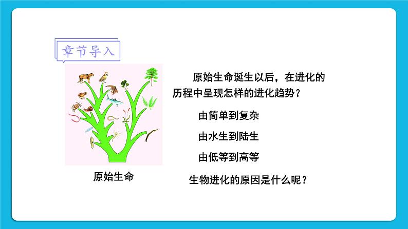 第7单元 生命的演化 第21章 生命的发生和发展 第2节 生物进化 第1-2课时 课件2+教案+素材01