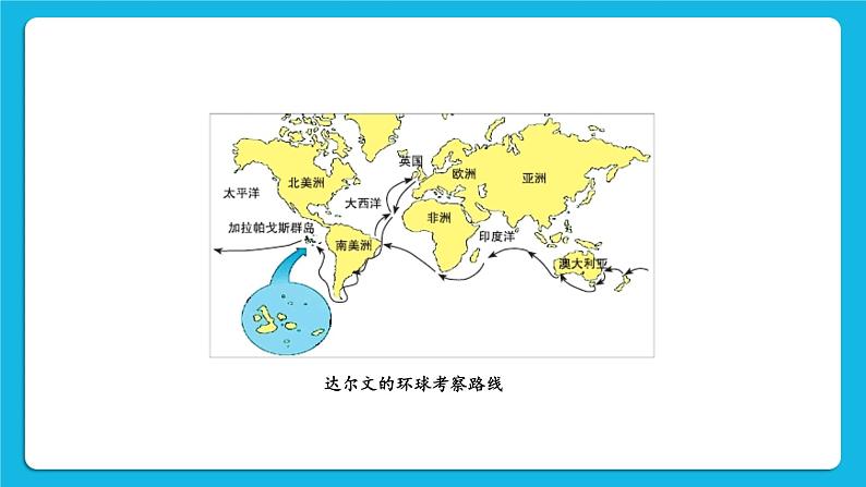 第7单元 生命的演化 第21章 生命的发生和发展 第2节 生物进化 第1-2课时 课件2+教案+素材05