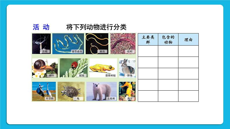 第1课时 腔肠动物、扁形动物、线虫动物、软体动物 课件第4页