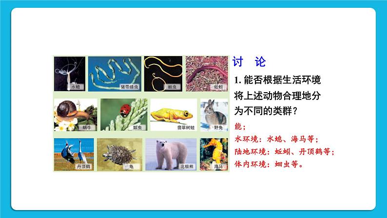 第1课时 腔肠动物、扁形动物、线虫动物、软体动物 课件第5页