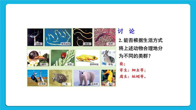 第1课时 腔肠动物、扁形动物、线虫动物、软体动物 课件第6页