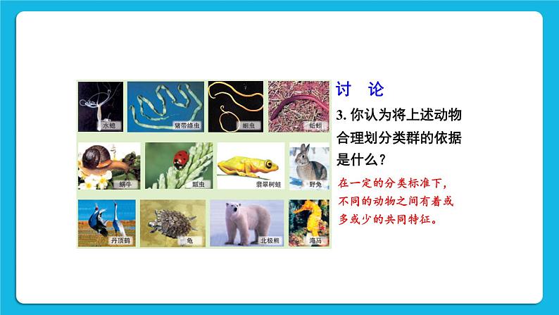 第1课时 腔肠动物、扁形动物、线虫动物、软体动物 课件第7页
