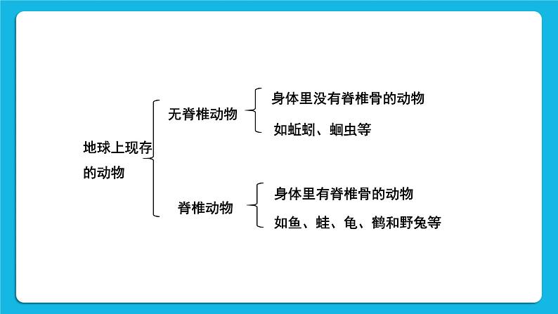 第1课时 腔肠动物、扁形动物、线虫动物、软体动物 课件第8页