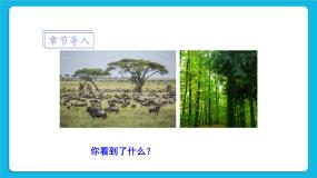初中生物第八单元  生物与环境第23章  生态系统及其稳定性第1节 生物的生存依赖一定的环境优秀课件ppt