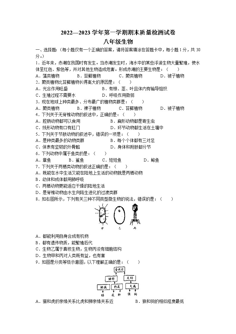 河南省洛阳市偃师市2022-2023学年八年级上学期期末生物试题第1页