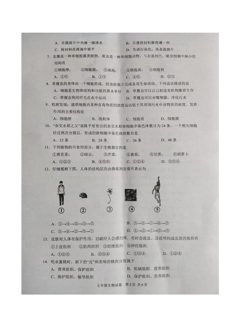 广东省湛江市徐闻县2022—2023学年七年级上学期期末教学调研测试生物试卷第2页