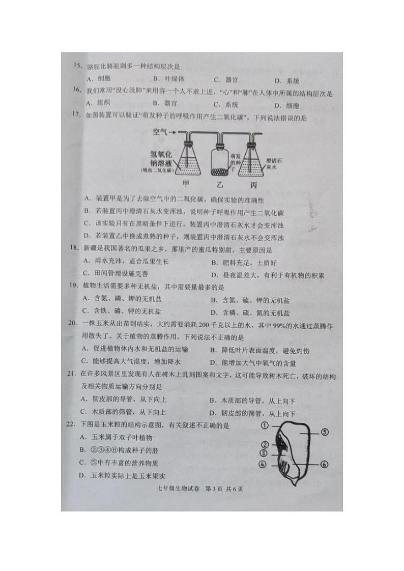 广东省湛江市徐闻县2022—2023学年七年级上学期期末教学调研测试生物试卷第3页
