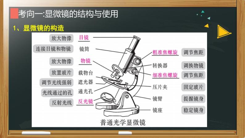 初中生物中考复习 专题02 生物体的结构层次-【备考无忧】2022年中考生物复习核心考点复习精优课件05